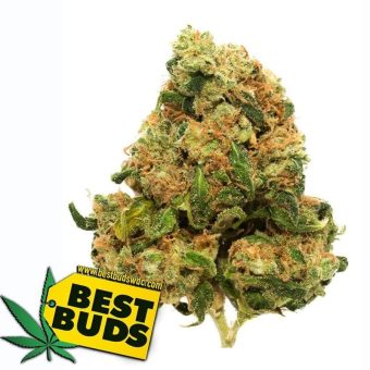 Sour Diesel